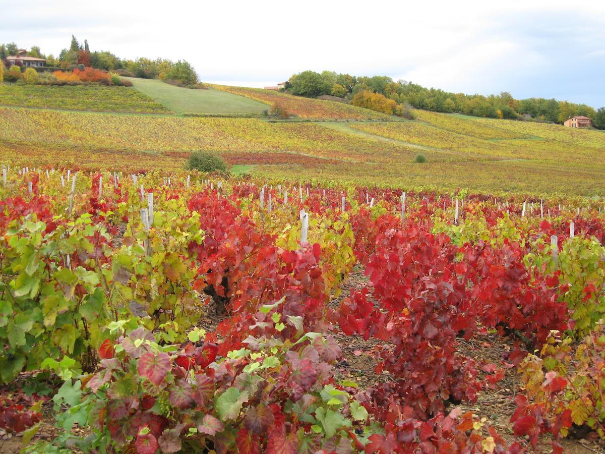 Moire Domaine Des Aloets B&B 외부 사진